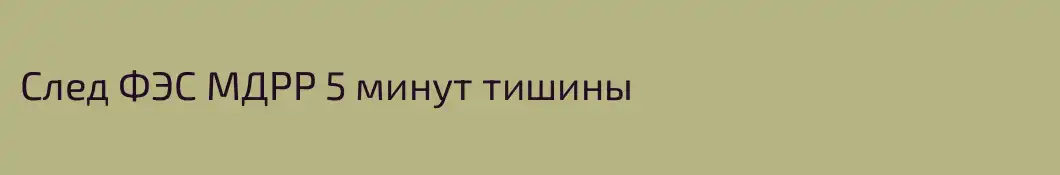 След ФЭС МДРР 5 минут тишины